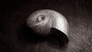 deux-escargots-sen-vont-post
